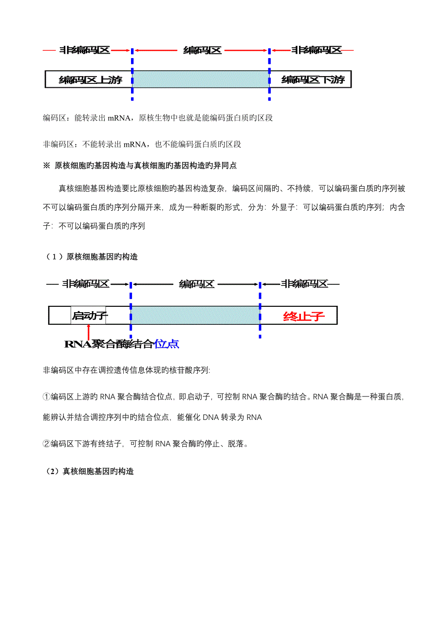 专题基因关键工程知识点梳理含教材答案_第4页