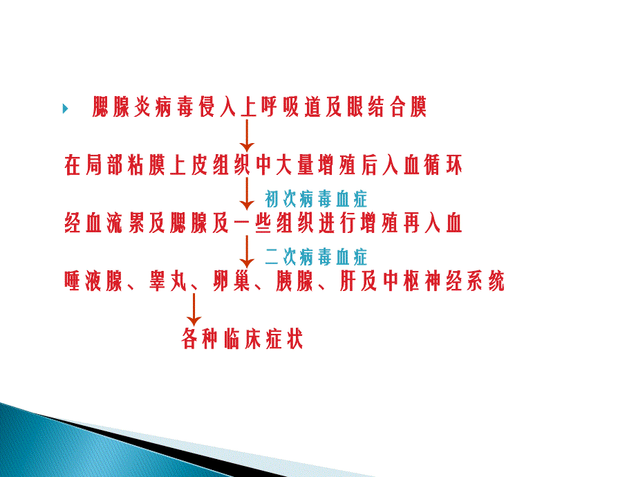 流行性腮腺炎防治知识课件.ppt_第4页