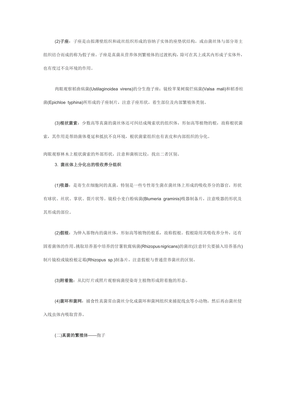 植物病原真菌的形态观察.doc_第3页