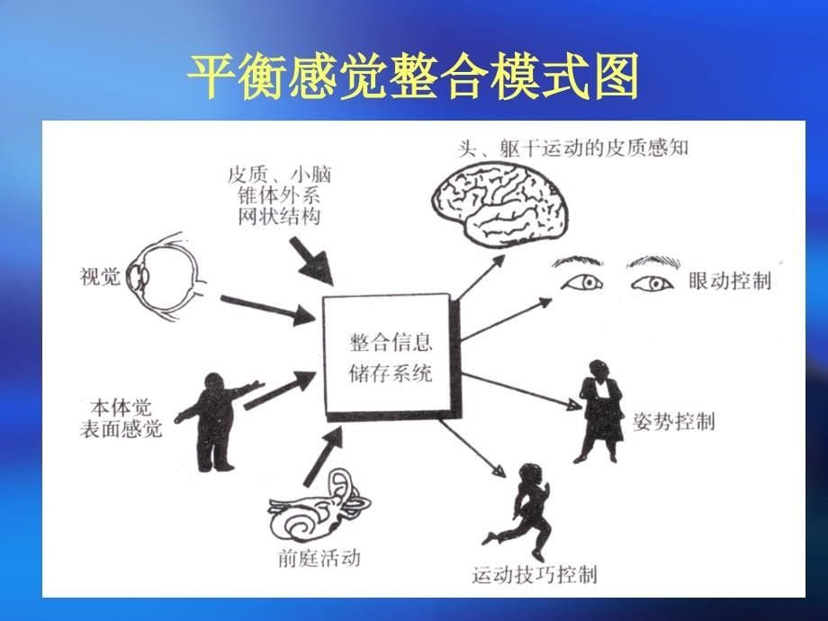 诊治引起头晕眩晕疾病的_第5页