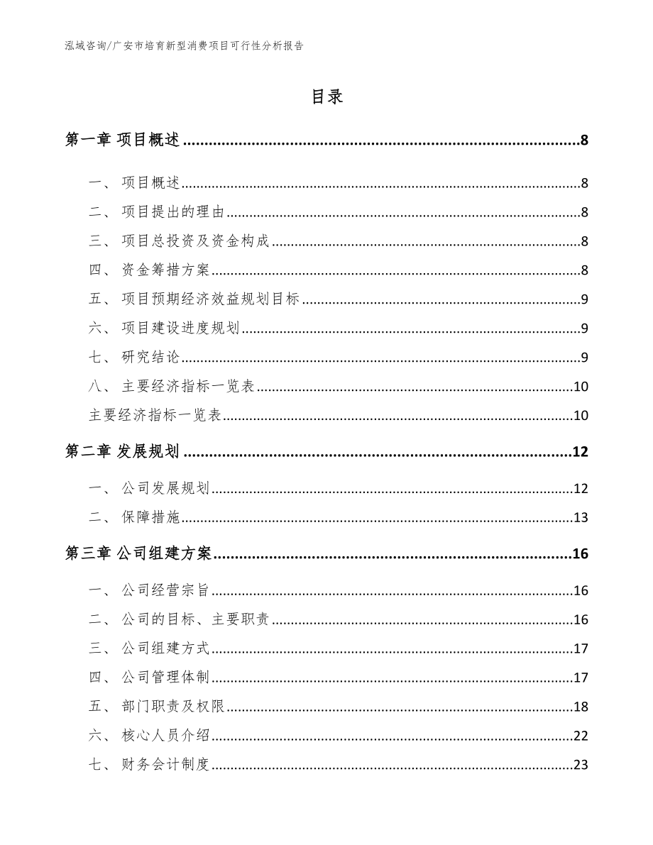 广安市培育新型消费项目可行性分析报告范文_第1页