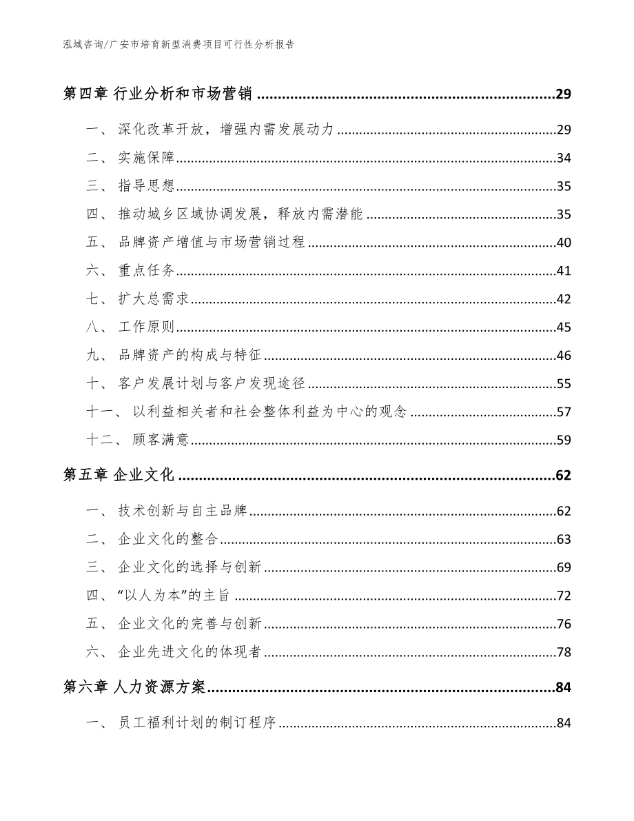 广安市培育新型消费项目可行性分析报告范文_第2页