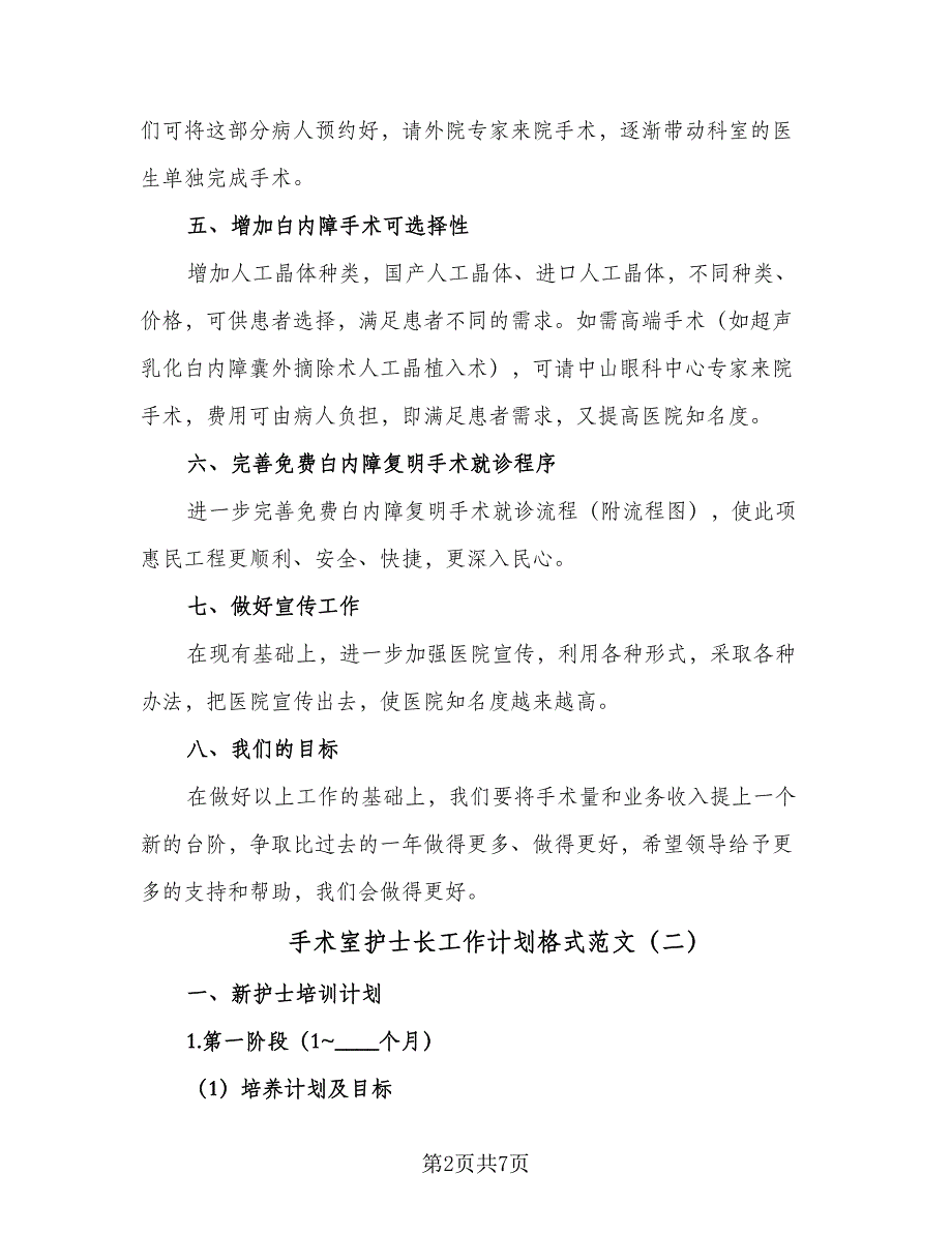 手术室护士长工作计划格式范文（2篇）.doc_第2页