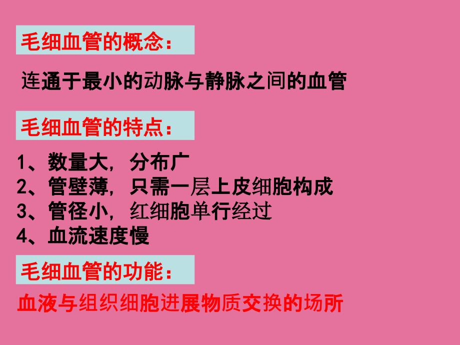 七下人教版4.4.2血流的管道血管ppt课件_第2页