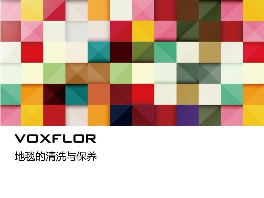 voxflor地毯清洗保养建议_第1页