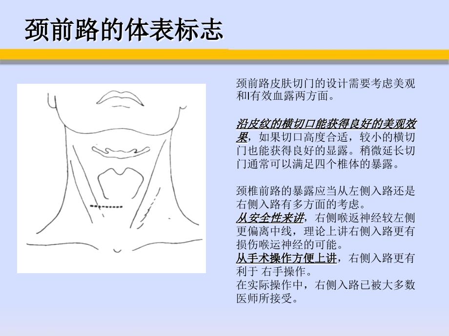 颈椎前路手术入路的应用解剖_第4页