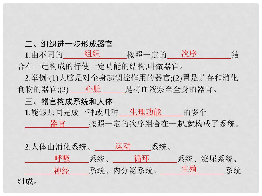 七年级生物上册 2.2.2 动物体的结构层次课件 （新版）新人教版_第4页