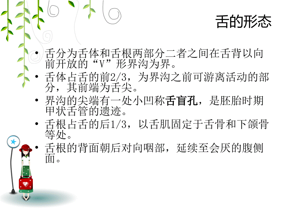 （优质课件）舌癌的手术配合_第2页