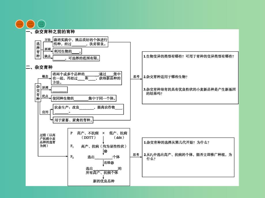 高中生物第6章从杂交育种到基因工程第1节杂交育种与诱变育种课件新人教版.ppt_第4页