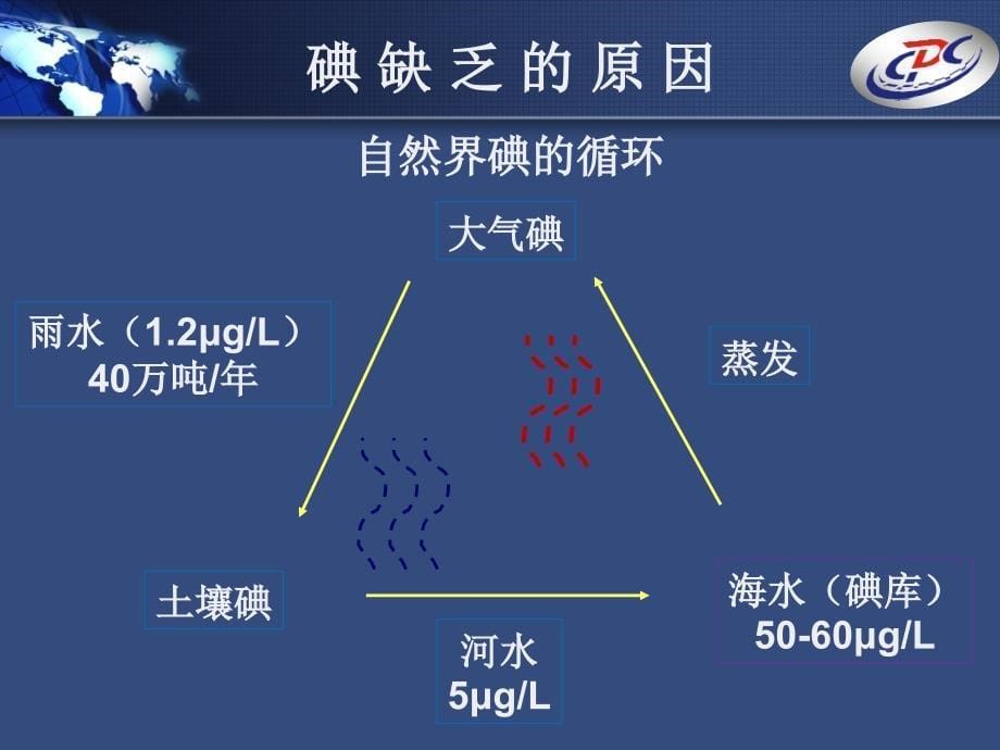 防治碘缺乏病课件_第5页