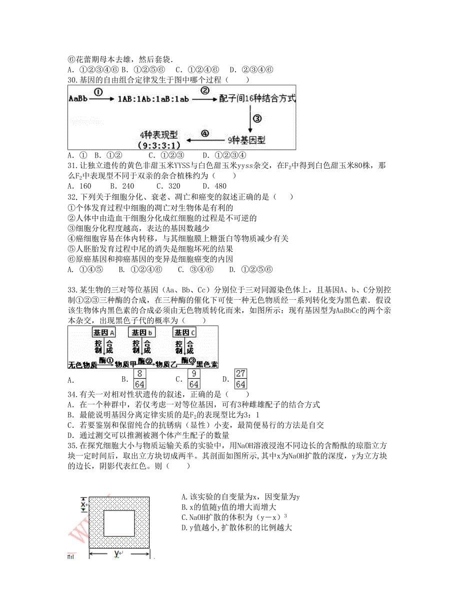 福建省龙海市 高一下学期第一次月考4月生物Word版含答案_第5页