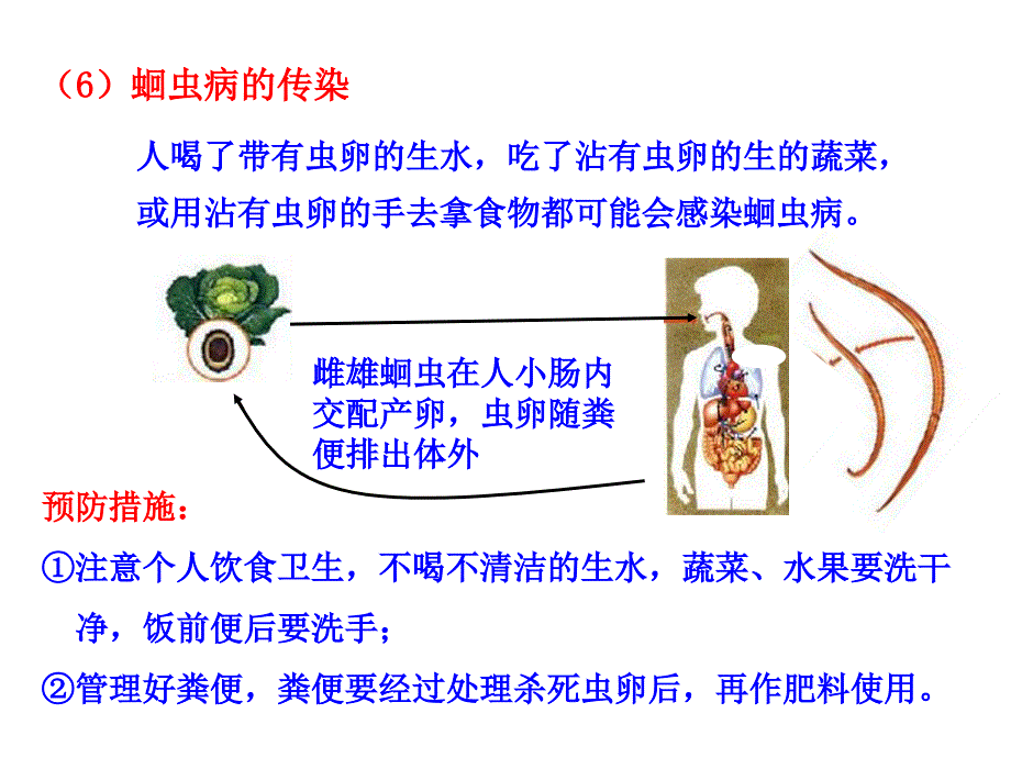 第二节线形动物和环节动物_第4页