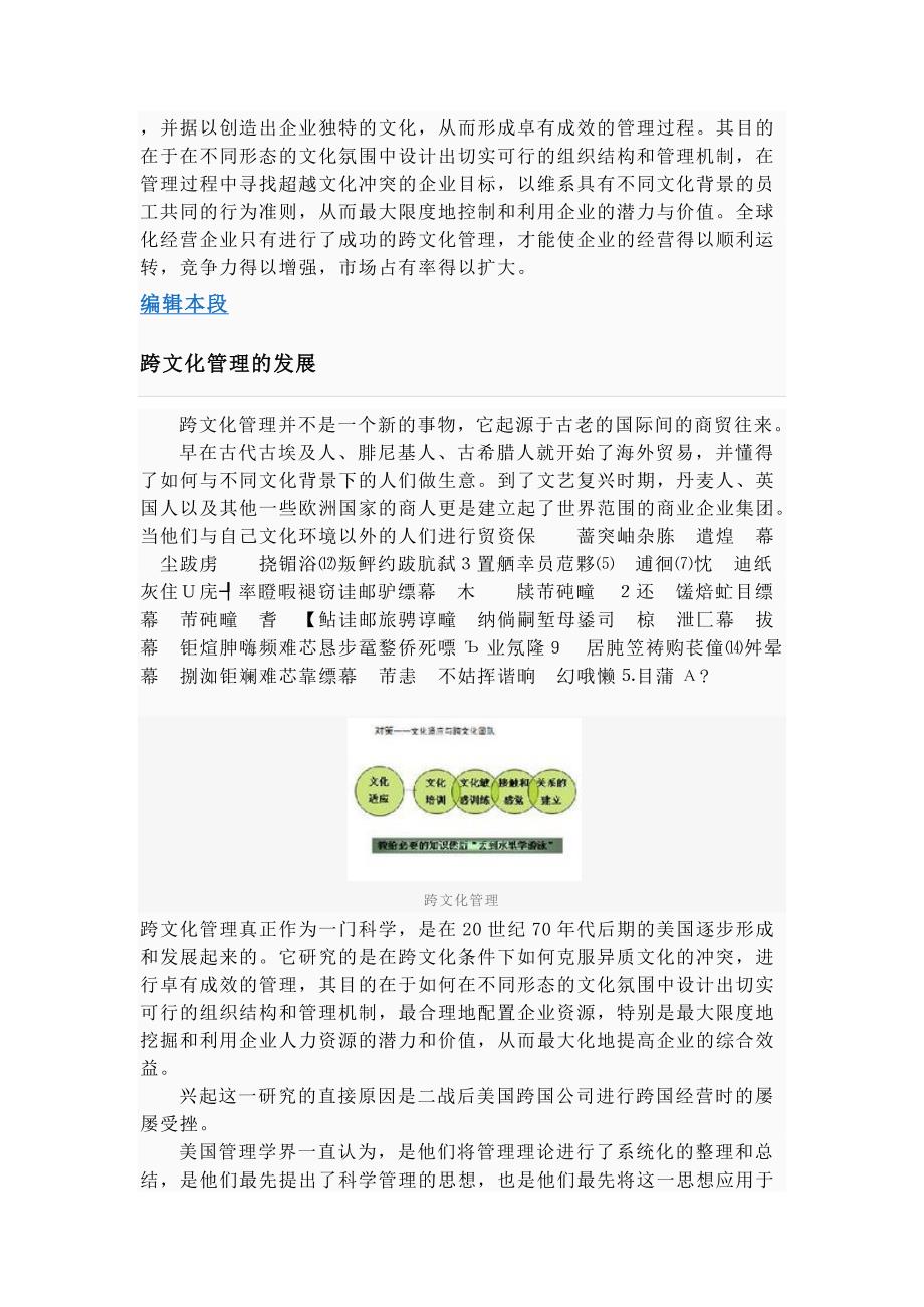 跨文化管理49120.doc_第2页