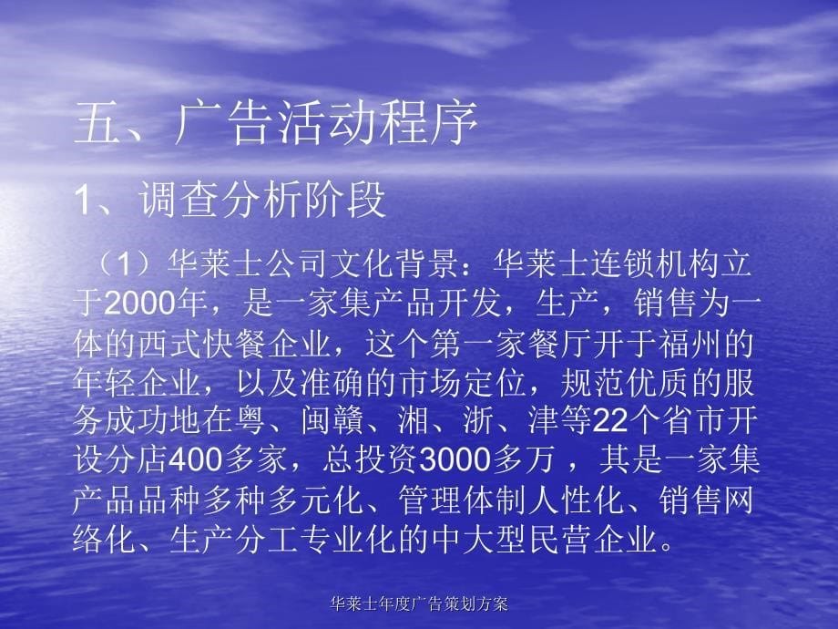 华莱士年度广告策划方案课件_第5页