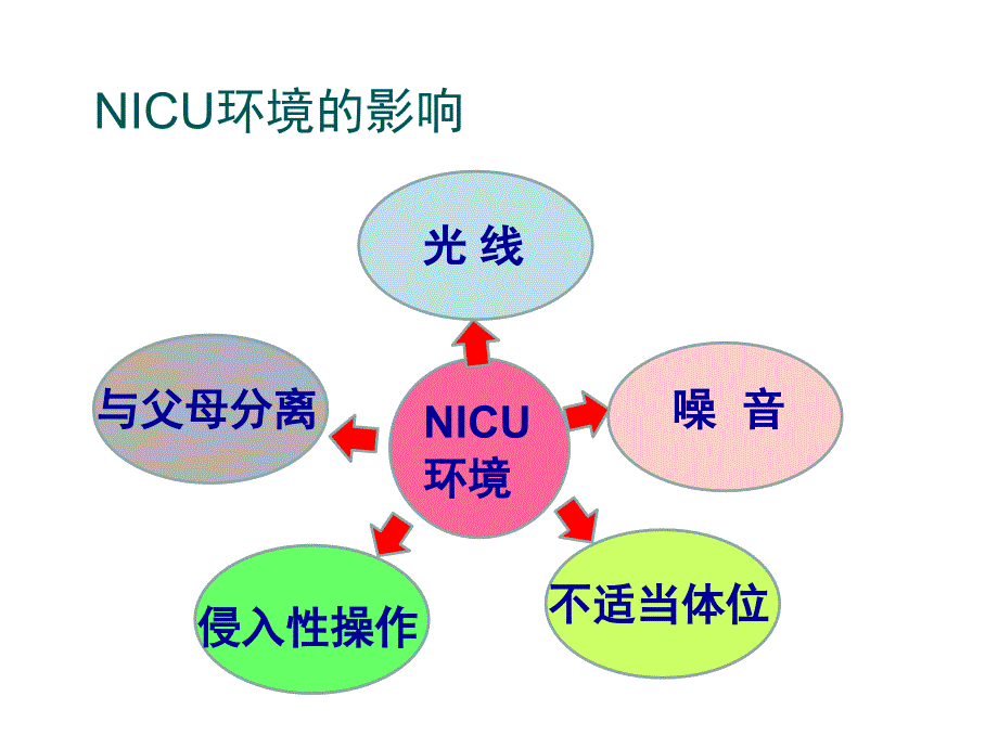 早产儿发展性照顾ppt课件_第3页