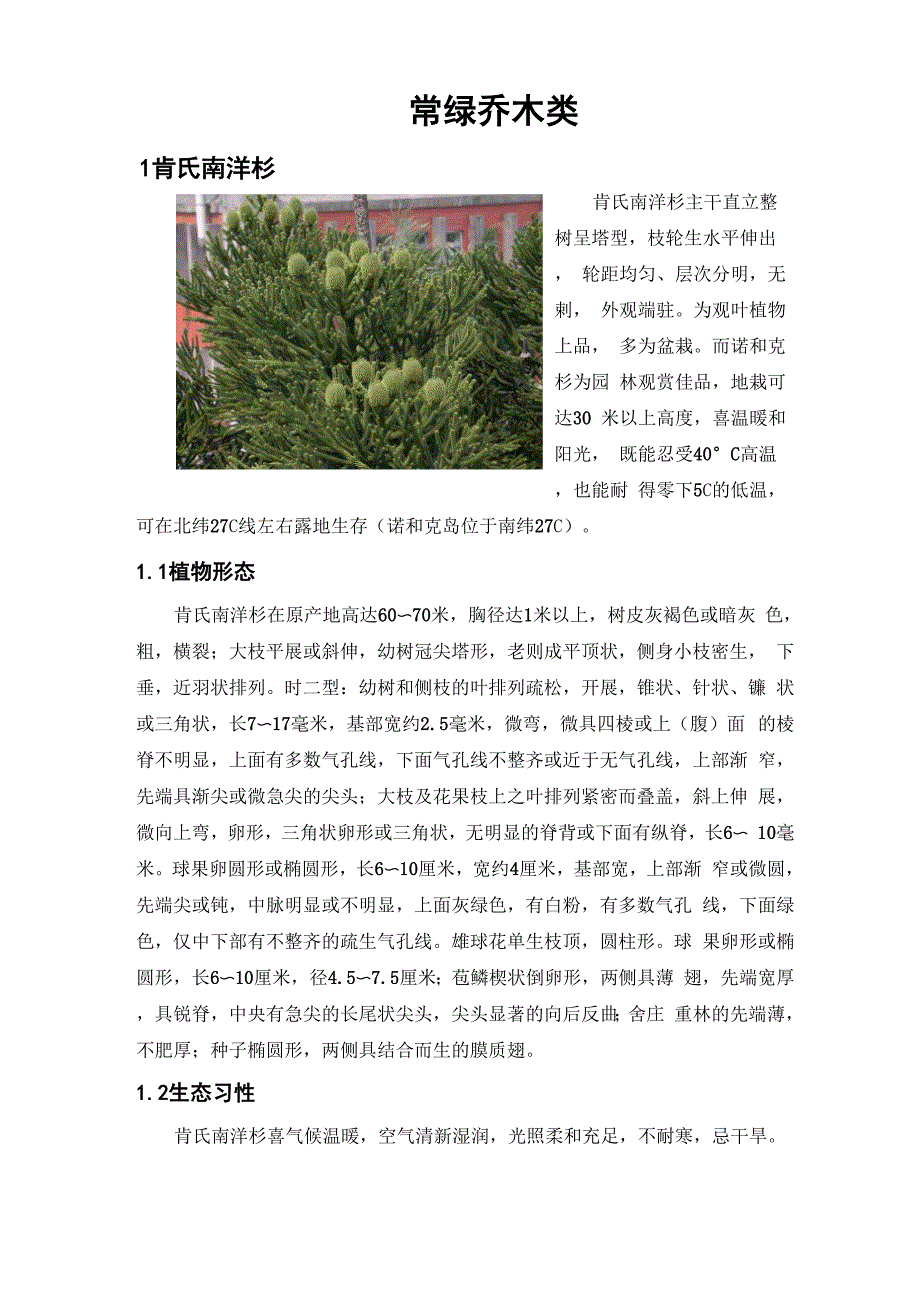 常绿乔木类详细资料_第1页