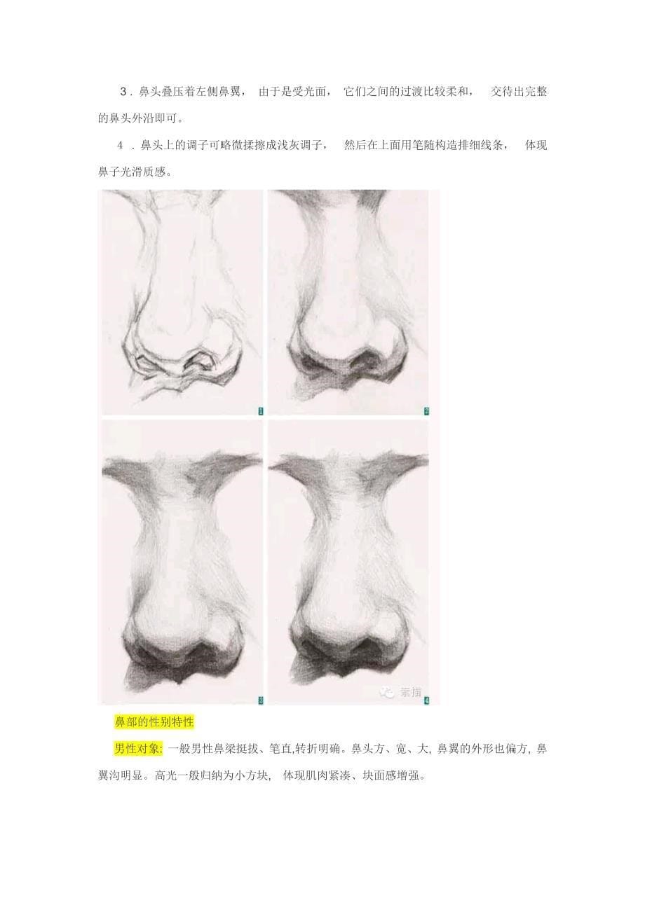 鼻部的结构与表现_第5页