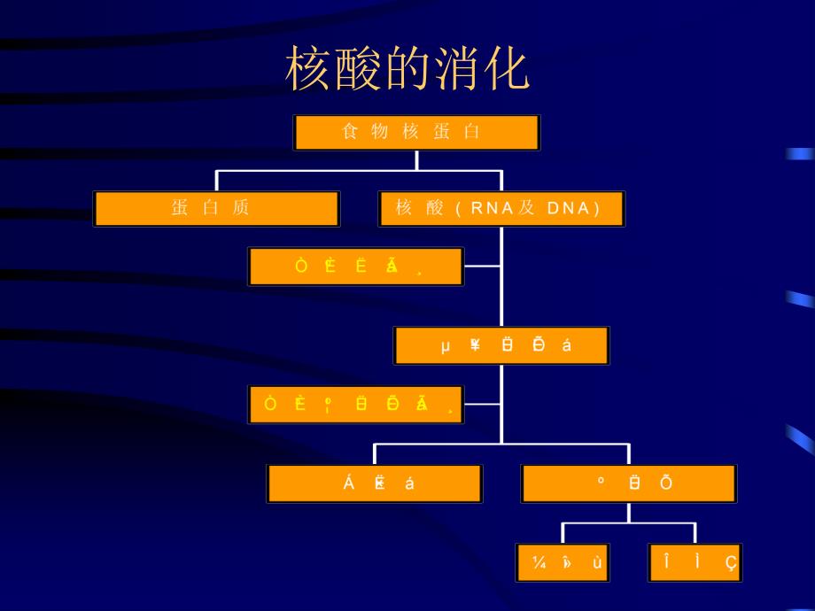 医学课件第九章核苷酸代谢_第3页