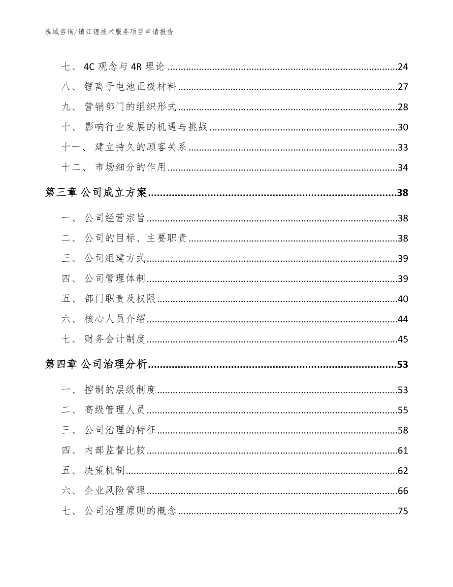 镇江锂技术服务项目申请报告_第3页