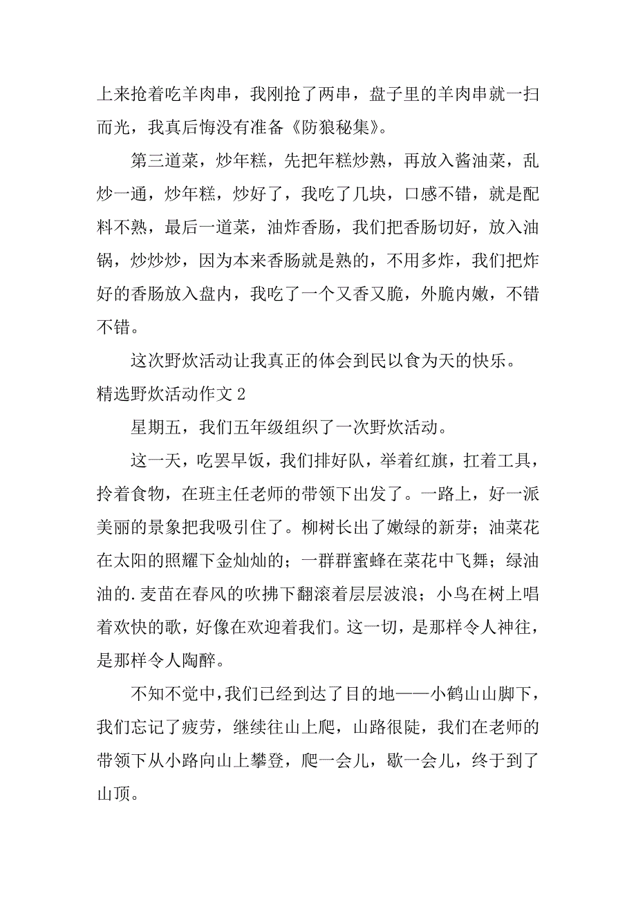 精选野炊活动作文4篇(愉快的野炊活动作文)_第2页