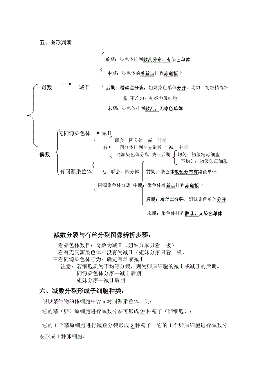 高中生物必修二有丝分裂减数分裂详尽分析_第4页