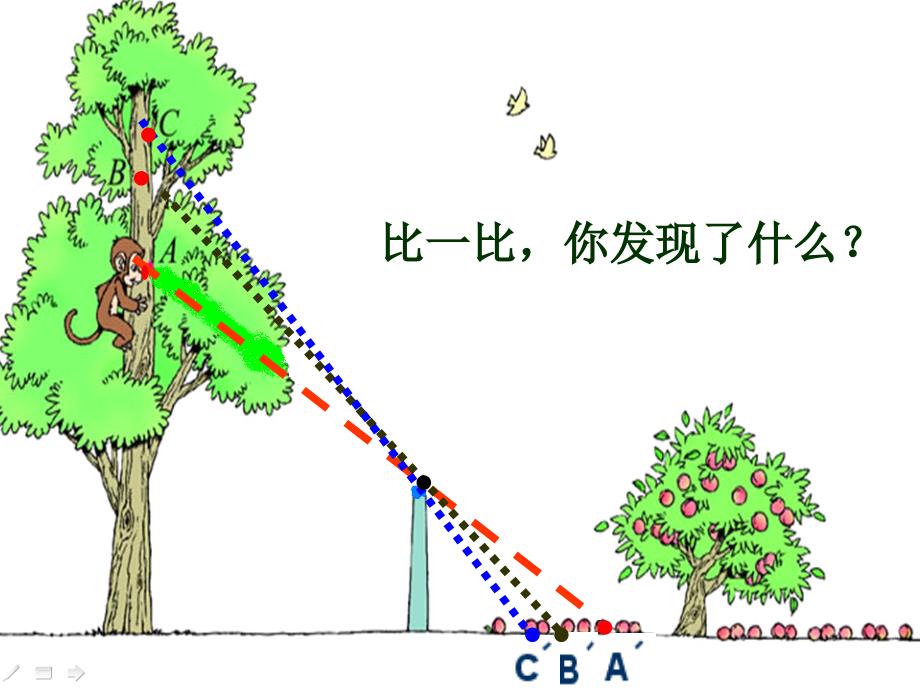 观察的范围12月13日公开课课件_第3页