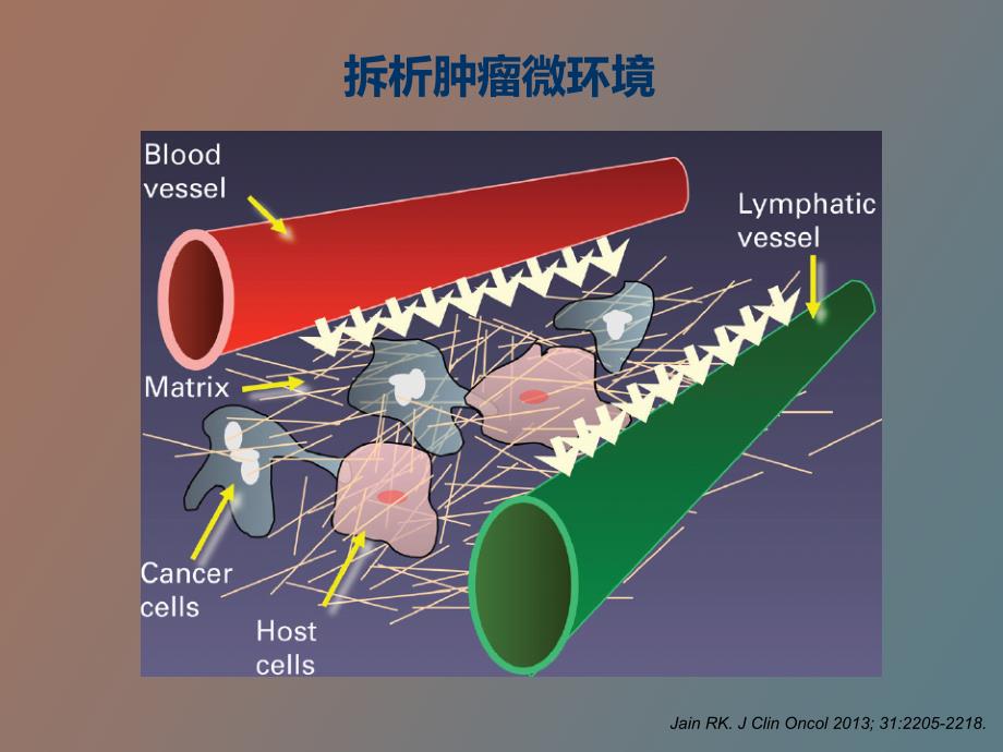 肿瘤微环境与抗血管生成_第2页