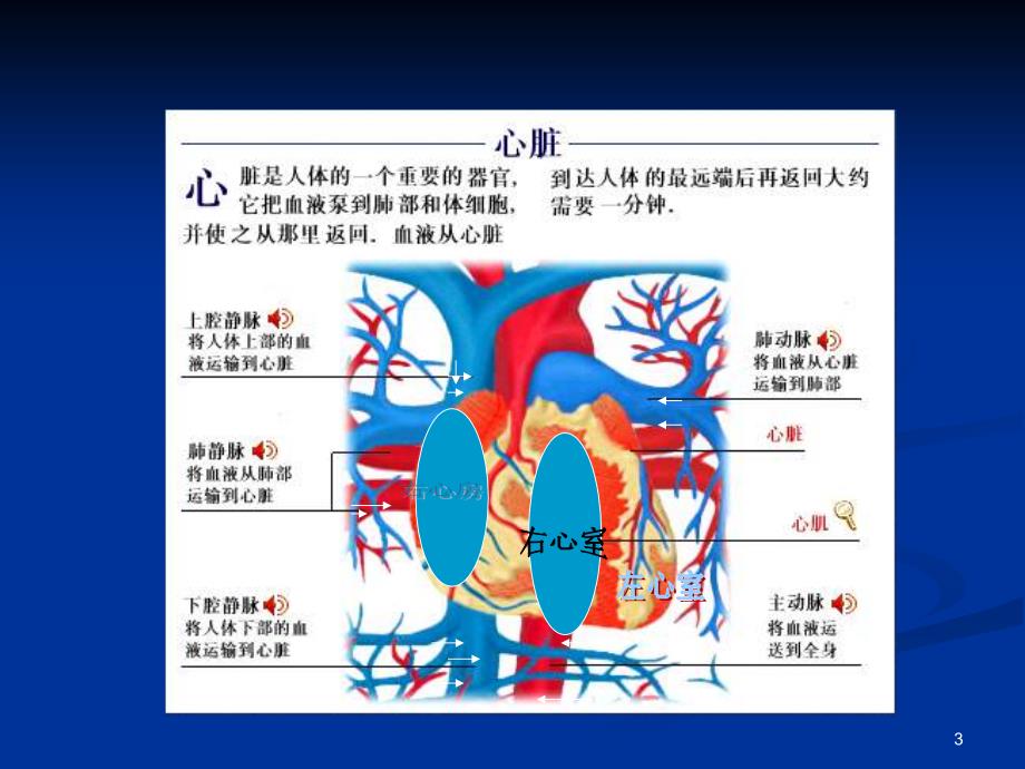 心力衰竭ppt课件_第3页