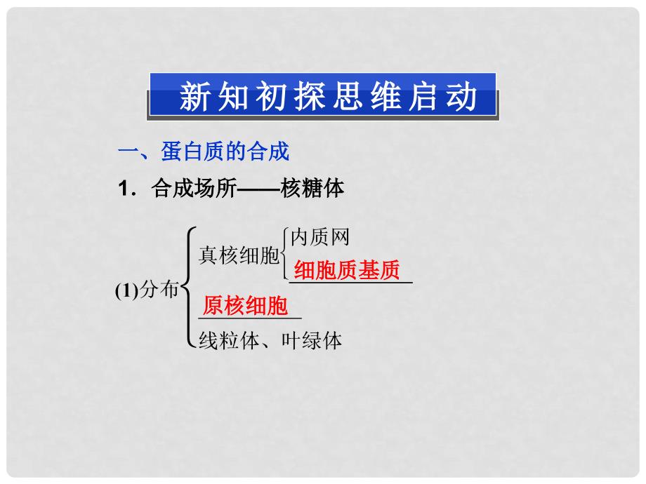 高中生物 第二单元 第一章 第二节白质的合成与运输课件 中图版必修1_第3页