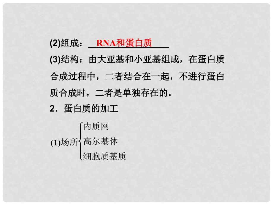 高中生物 第二单元 第一章 第二节白质的合成与运输课件 中图版必修1_第4页