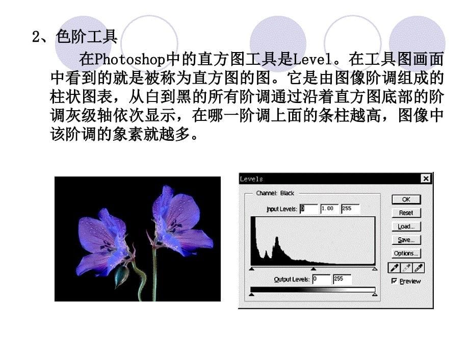 印刷技术课件第4章图像的调整与校色.ppt_第5页