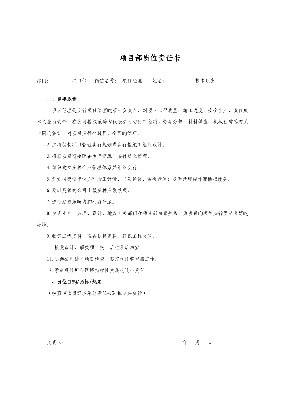 公司专项项目部岗位责任分析报告书范本.docx_第1页