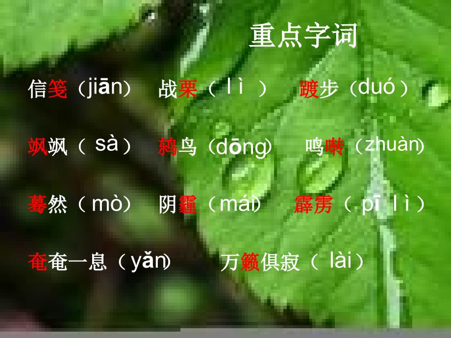 《狱中书简1（节选）》_第2页