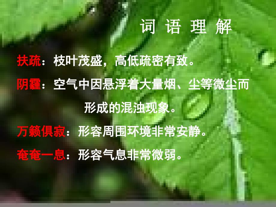 《狱中书简1（节选）》_第3页