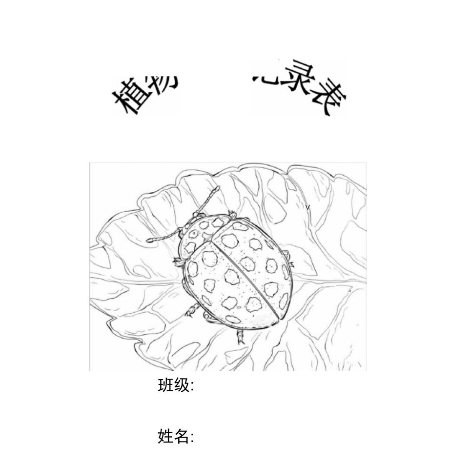 植物观察记录表范文_第1页