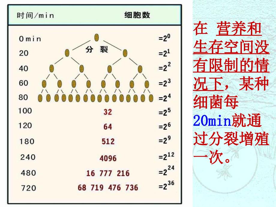 种群数量的变化_第2页