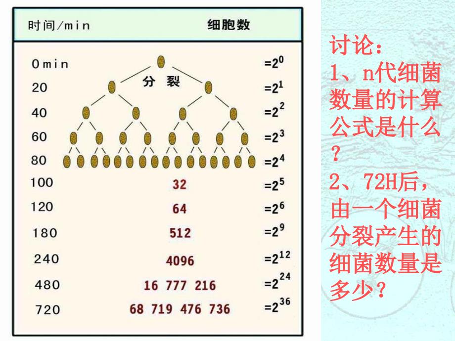 种群数量的变化_第3页