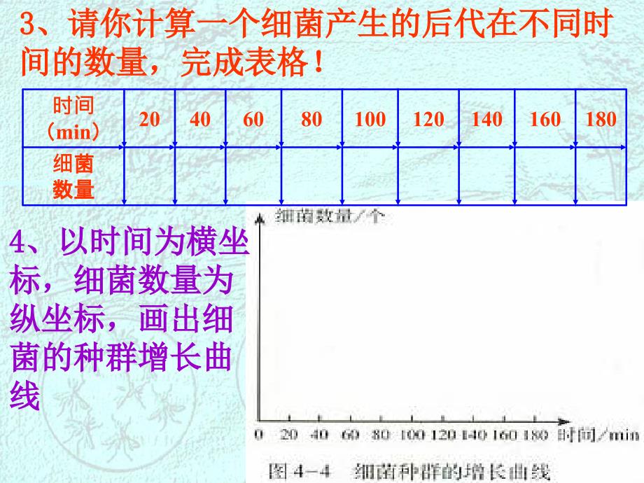 种群数量的变化_第4页