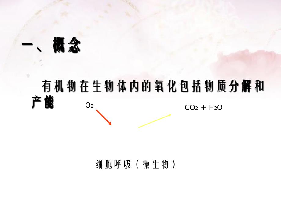 第五章生物氧化课件_第1页