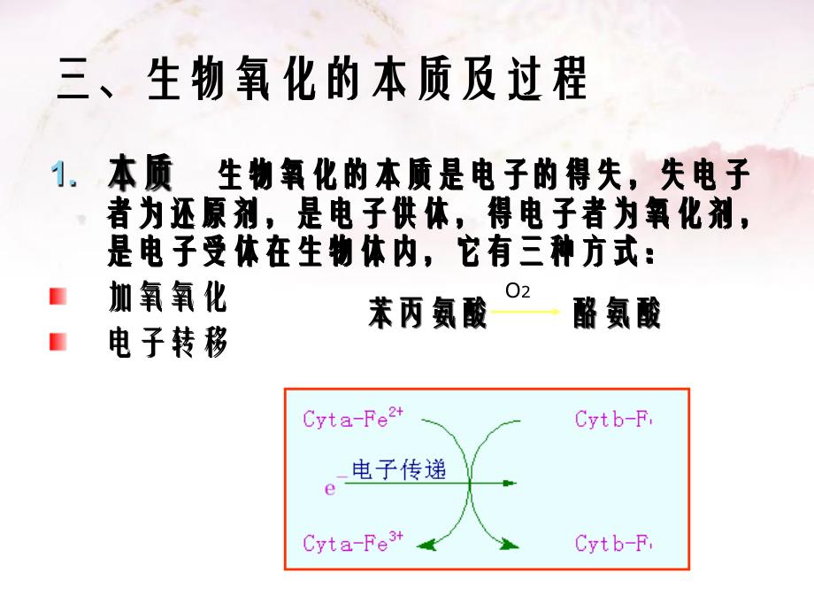 第五章生物氧化课件_第4页