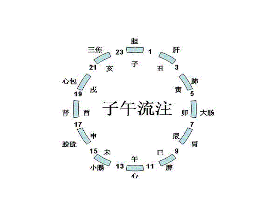 子午流注十二时辰养生_第4页