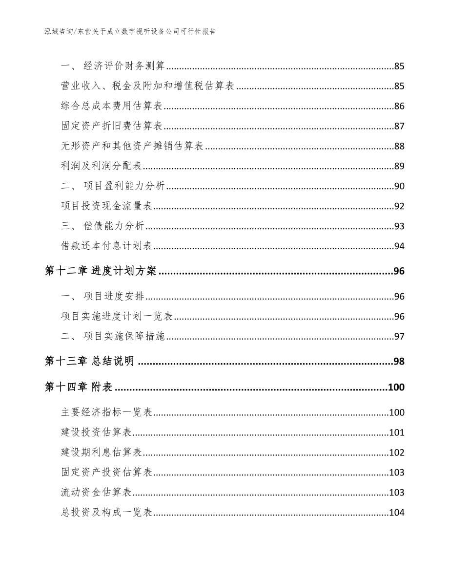 东营关于成立数字视听设备公司可行性报告_第5页