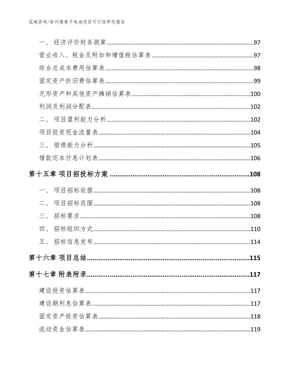 徐州锂离子电池项目可行性研究报告范文参考_第5页