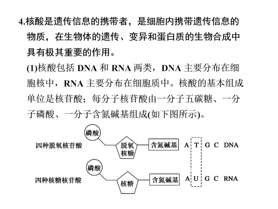 高三生物必记规律结论ppt课件_第5页