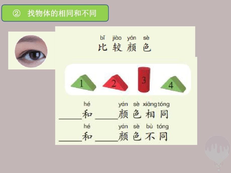 一年级科学上册第单元第2课找物体的相同和不同课件湘科版1219119_第5页