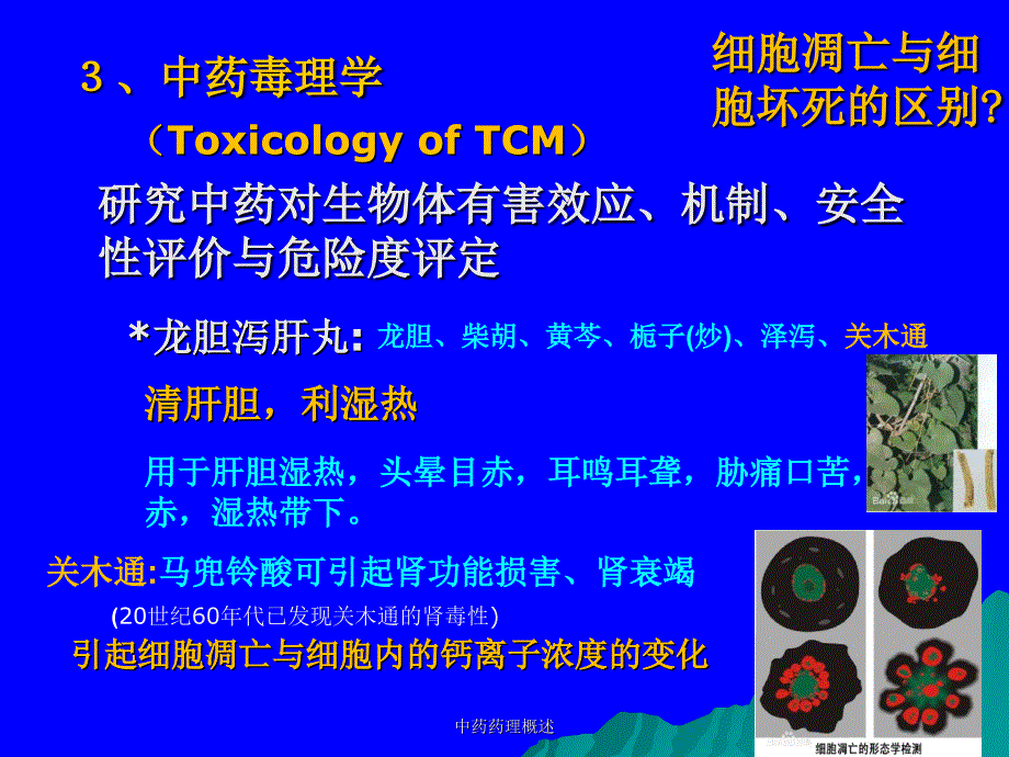 中药药理概述课件_第3页