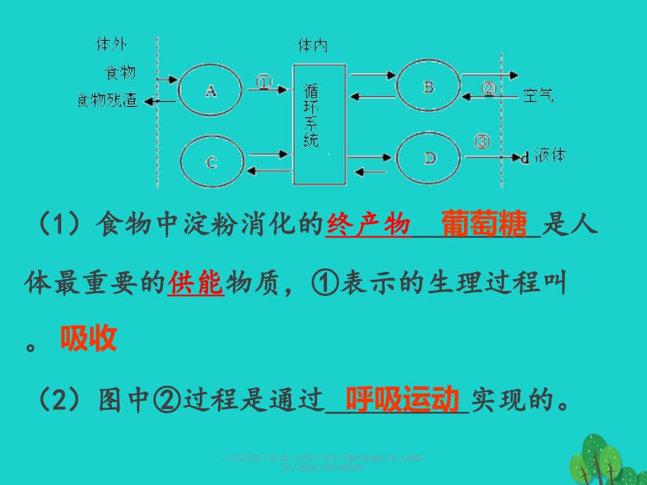 最新八年级生物下册第二轮复习周末习题纠错_第2页