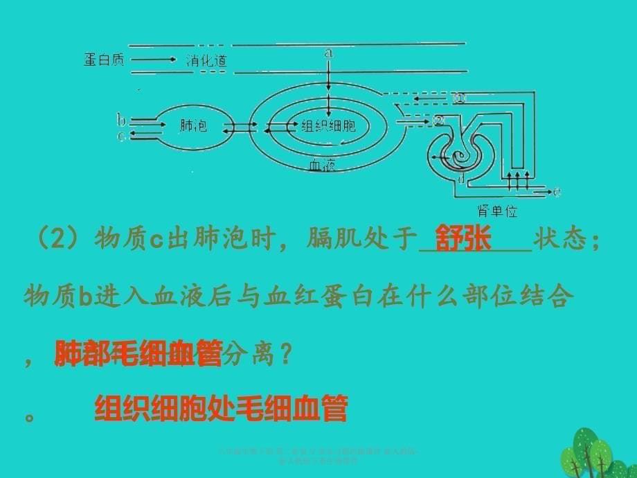 最新八年级生物下册第二轮复习周末习题纠错_第5页