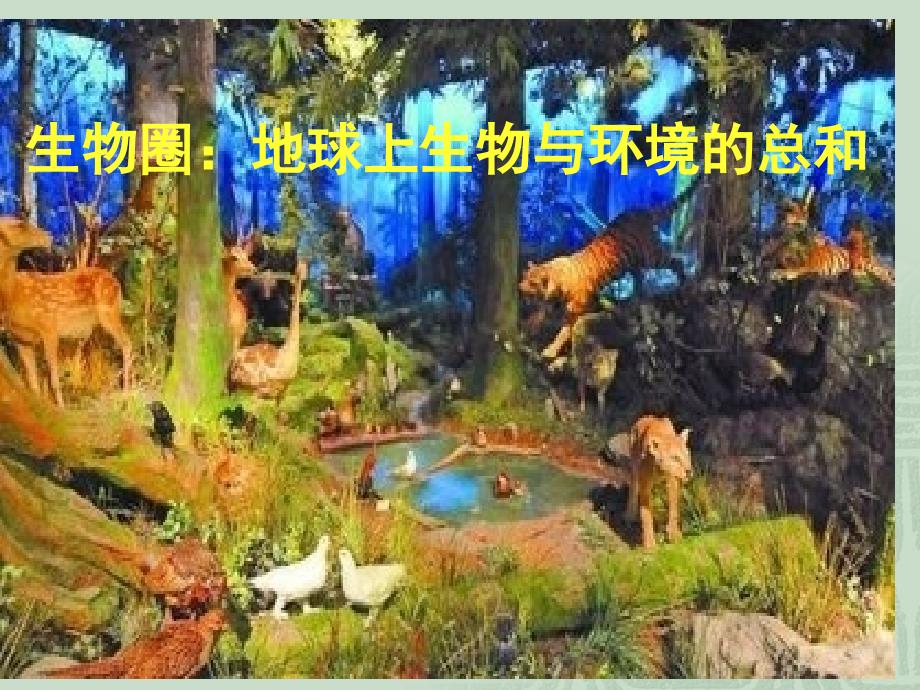 生物与环境组成生态系统_第2页