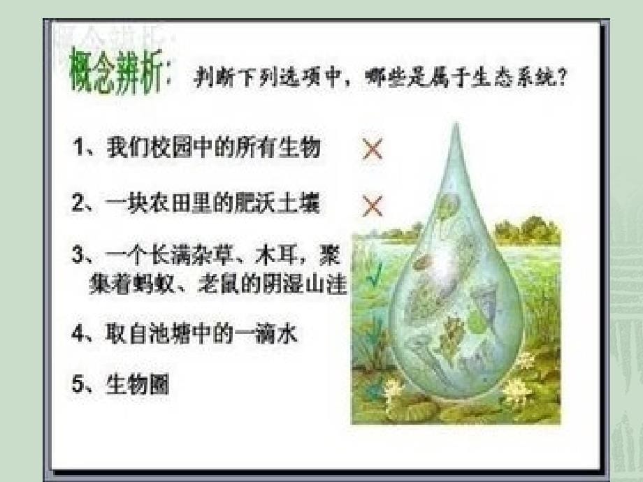 生物与环境组成生态系统_第5页